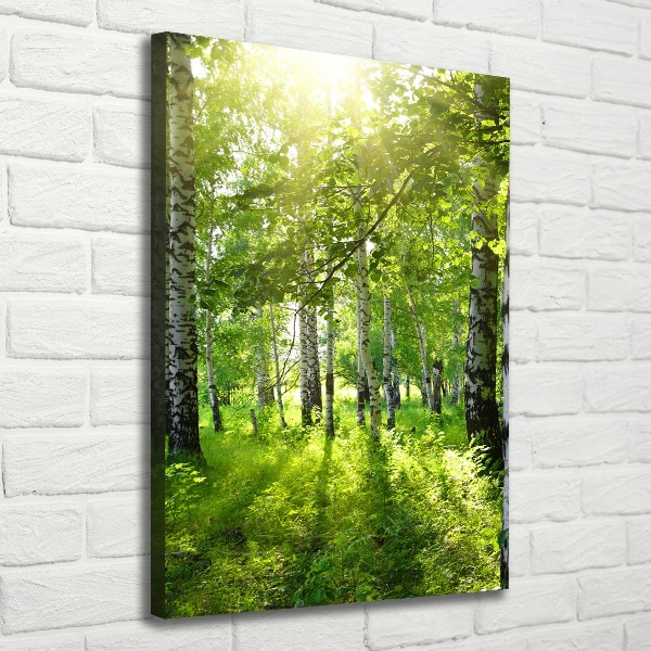 Quadro foto su tela verticale Foresta di betulle