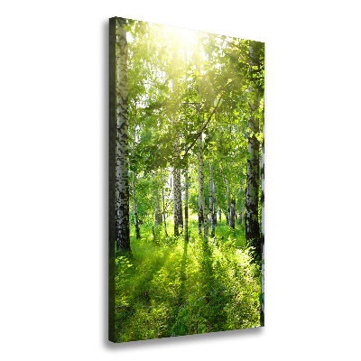 Quadro foto su tela verticale Foresta di betulle