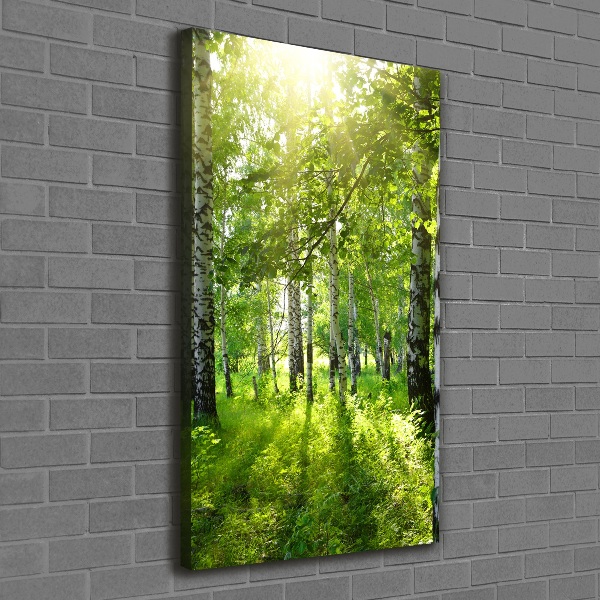 Quadro foto su tela verticale Foresta di betulle