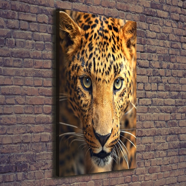 Stampa quadro su tela verticale Leopardo