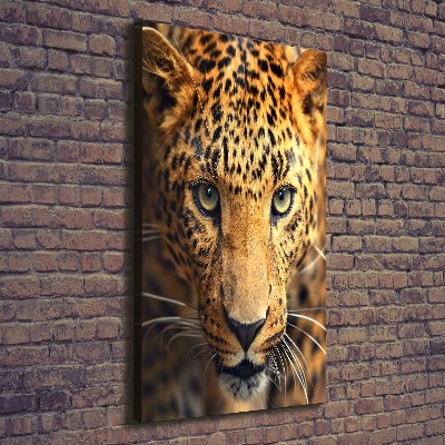 Stampa quadro su tela verticale Leopardo