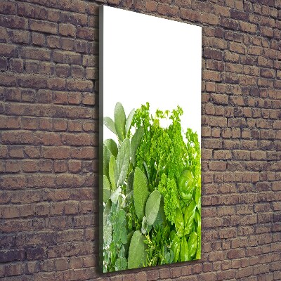 Stampa quadro su tela verticale Erbe