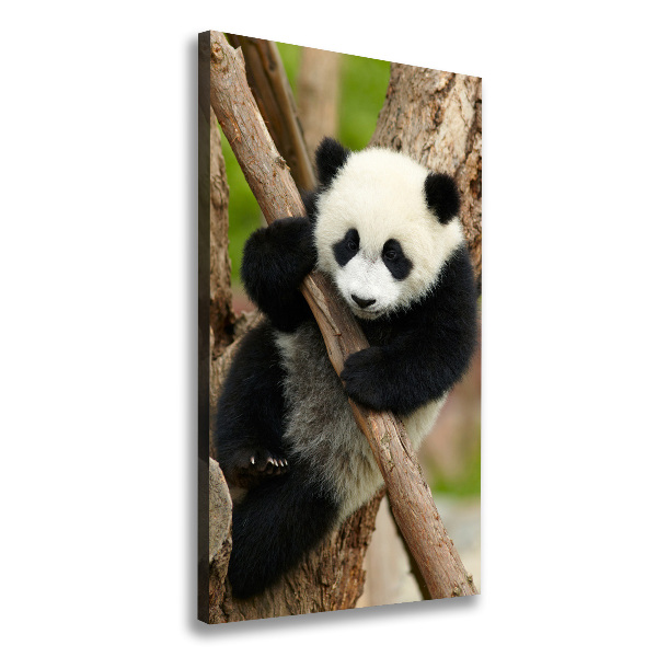Quadro su tela canvas verticale Un panda su un albero