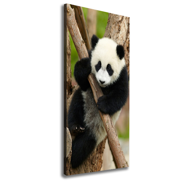 Quadro su tela canvas verticale Un panda su un albero