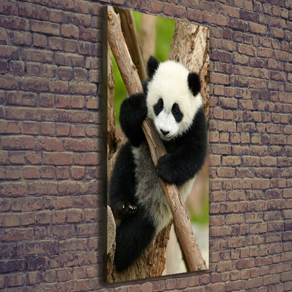 Quadro su tela canvas verticale Un panda su un albero