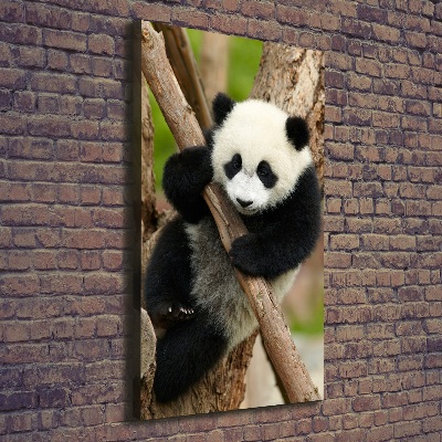 Quadro su tela canvas verticale Un panda su un albero