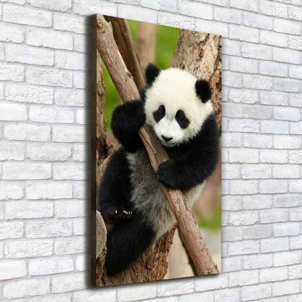 Quadro su tela canvas verticale Un panda su un albero