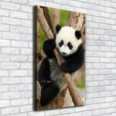 Quadro su tela canvas verticale Un panda su un albero