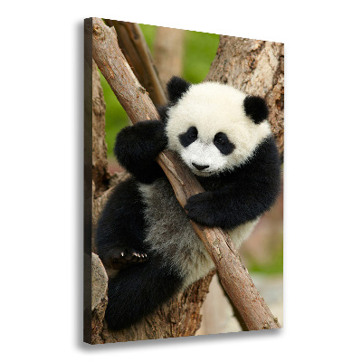 Quadro su tela canvas verticale Un panda su un albero