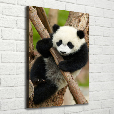 Quadro su tela canvas verticale Un panda su un albero