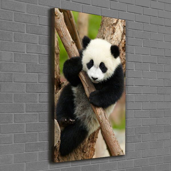Quadro su tela canvas verticale Un panda su un albero