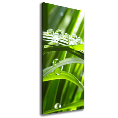 Quadro foto su tela verticale Fili d'erba