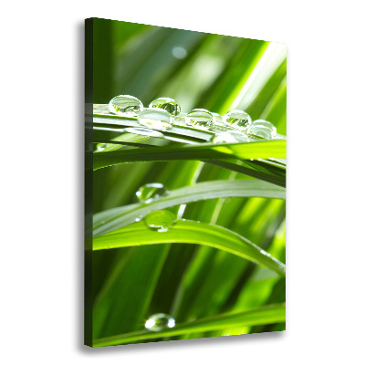 Quadro foto su tela verticale Fili d'erba