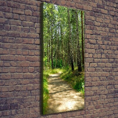 Stampa quadro su tela verticale Foresta di betulle