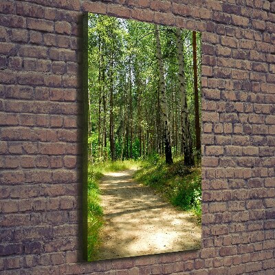 Stampa quadro su tela verticale Foresta di betulle