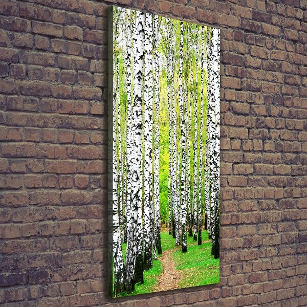 Quadro foto su tela verticale Foresta di betulle
