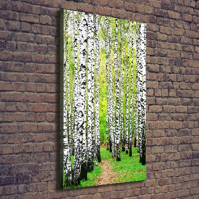 Quadro foto su tela verticale Foresta di betulle