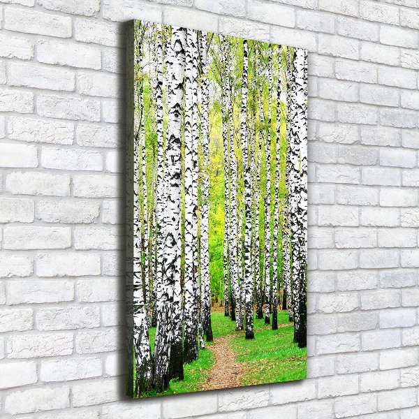 Quadro foto su tela verticale Foresta di betulle
