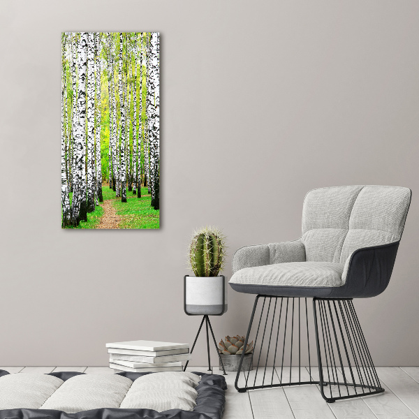 Quadro foto su tela verticale Foresta di betulle