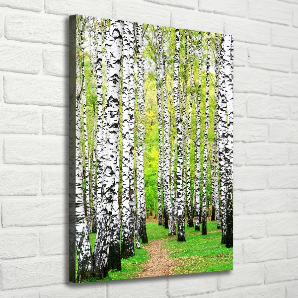Quadro foto su tela verticale Foresta di betulle