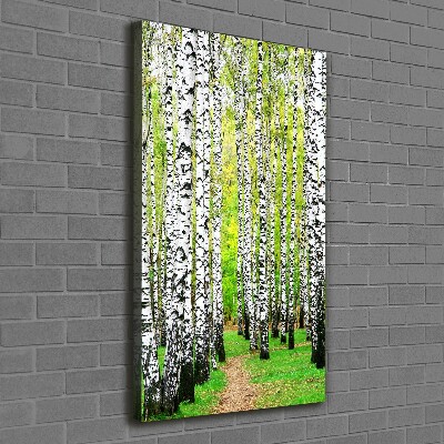 Quadro foto su tela verticale Foresta di betulle