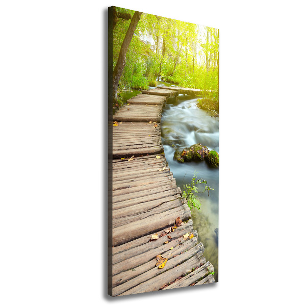Quadro su tela canvas verticale Sentiero nella foresta