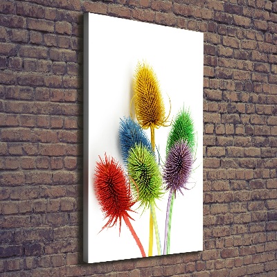 Quadro su tela canvas verticale Cardo