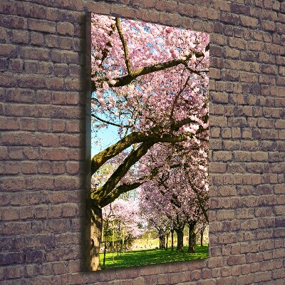 Stampa quadro su tela verticale Alberi di ciliegio