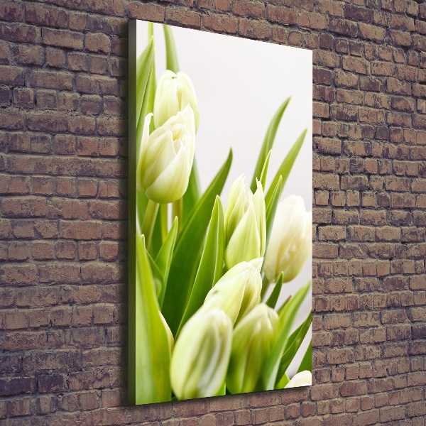 Quadro su tela canvas verticale Tulipani bianchi