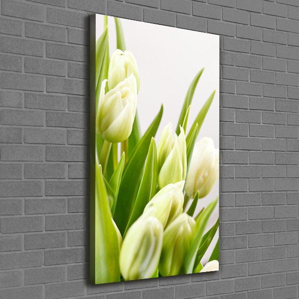 Quadro su tela canvas verticale Tulipani bianchi