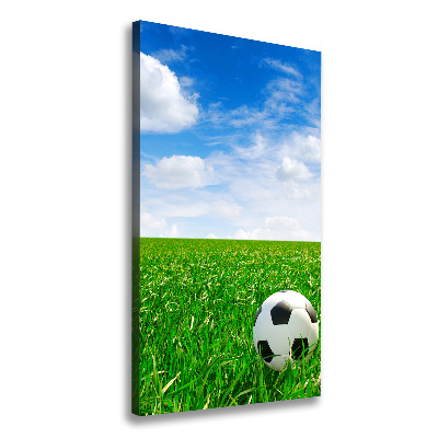 Stampa quadro su tela verticale Calcio nel prato