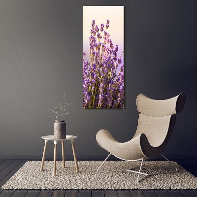 Stampa quadro su tela verticale Lavanda