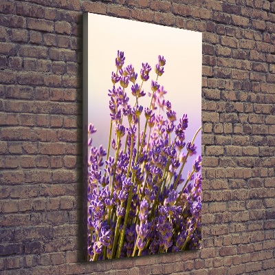 Stampa quadro su tela verticale Lavanda