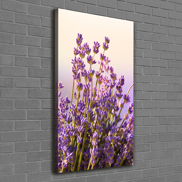 Stampa quadro su tela verticale Lavanda
