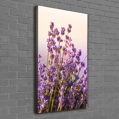 Stampa quadro su tela verticale Lavanda