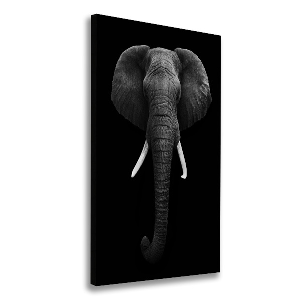 Quadro su tela canvas verticale Elefante africano