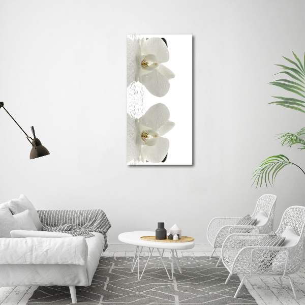 Quadro su tela canvas verticale Orchidea e pietre