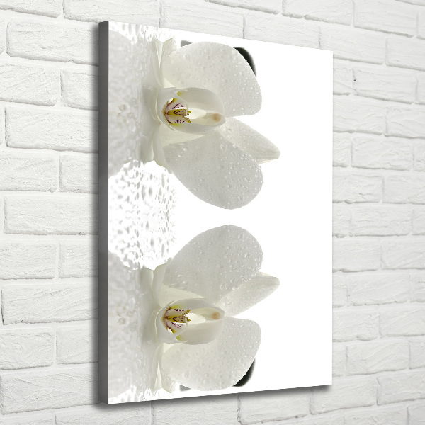 Quadro su tela canvas verticale Orchidea e pietre