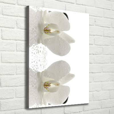 Quadro su tela canvas verticale Orchidea e pietre