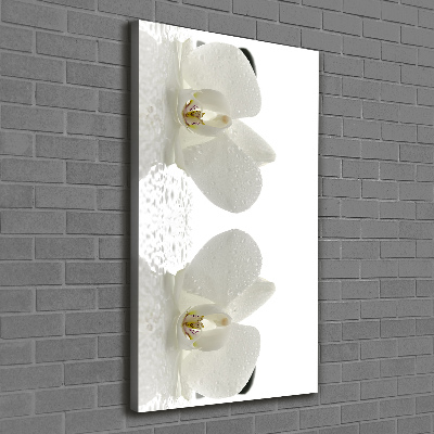 Quadro su tela canvas verticale Orchidea e pietre