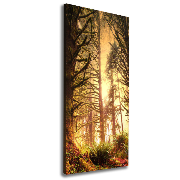 Quadro su tela canvas verticale Foresta pluviale