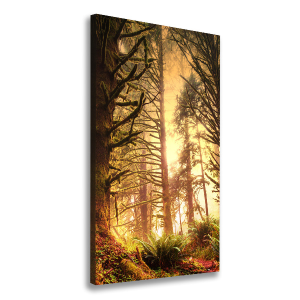 Quadro su tela canvas verticale Foresta pluviale