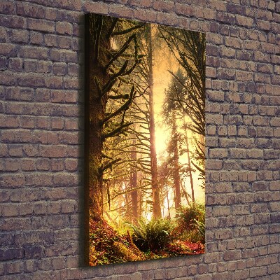 Quadro su tela canvas verticale Foresta pluviale
