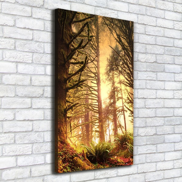 Quadro su tela canvas verticale Foresta pluviale