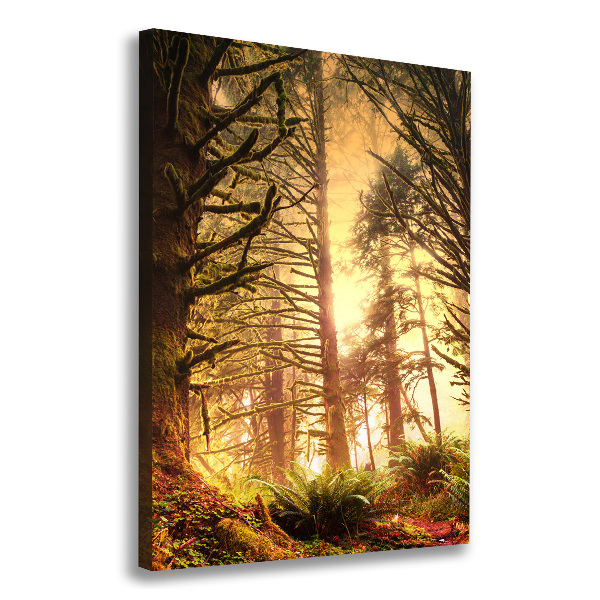 Quadro su tela canvas verticale Foresta pluviale