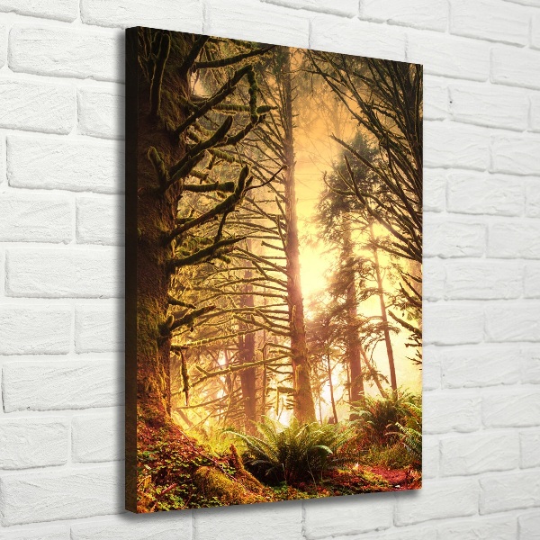 Quadro su tela canvas verticale Foresta pluviale