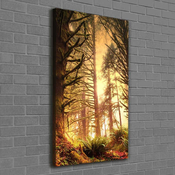 Quadro su tela canvas verticale Foresta pluviale