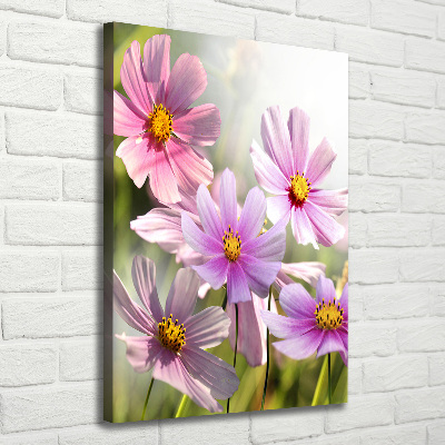 Quadro foto su tela verticale Fiori selvatici