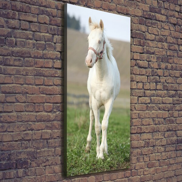 Quadro foto su tela verticale Cavallo albino