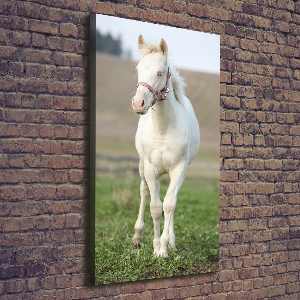 Quadro foto su tela verticale Cavallo albino